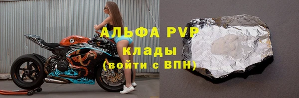 спиды Пересвет