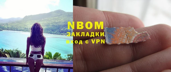 прущие грибы Пестово
