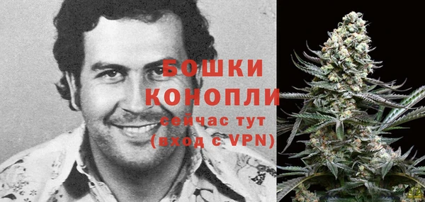 МДПВ Осташков