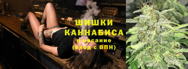 прущие грибы Пестово
