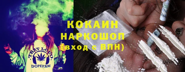 прущие грибы Пестово
