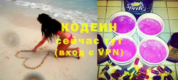 спиды Пересвет