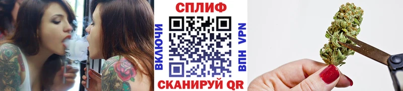 Конопля гибрид  Поворино 
